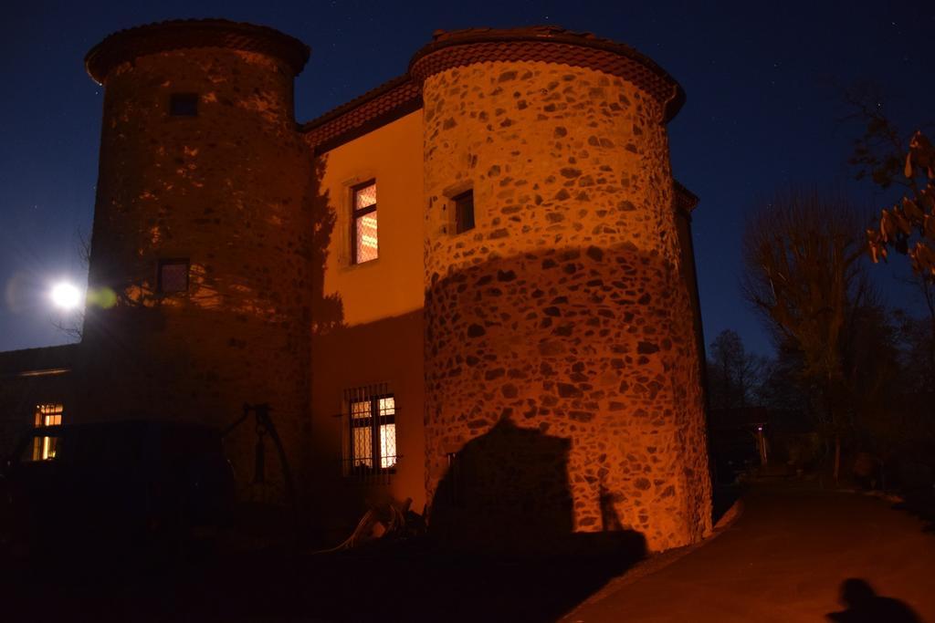 Chateau Des Aiguilles Saint-Rémy-de-Chargnat Esterno foto
