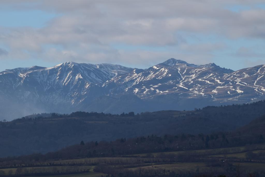 Chateau Des Aiguilles Saint-Rémy-de-Chargnat Esterno foto