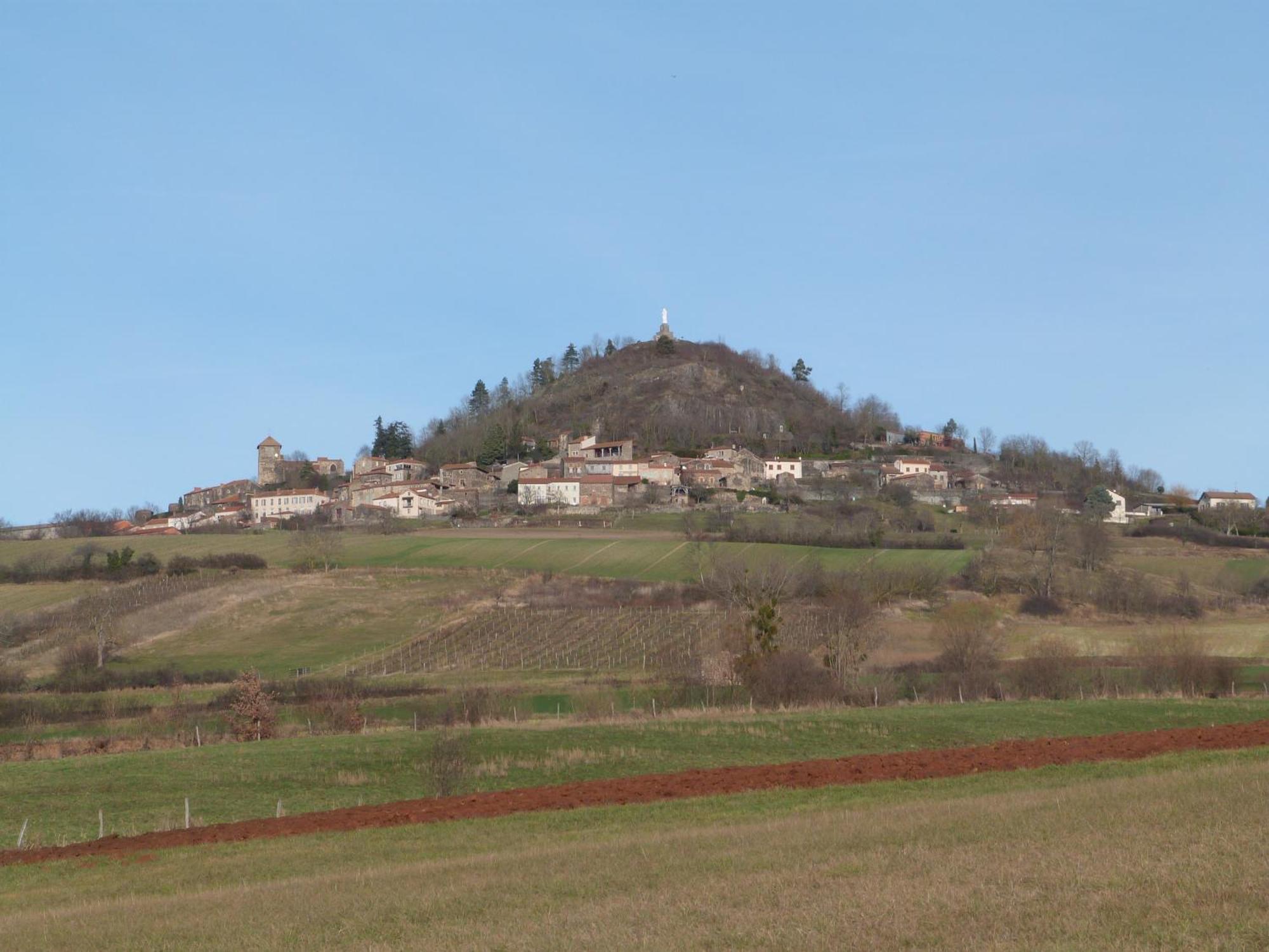 Chateau Des Aiguilles Saint-Rémy-de-Chargnat Esterno foto