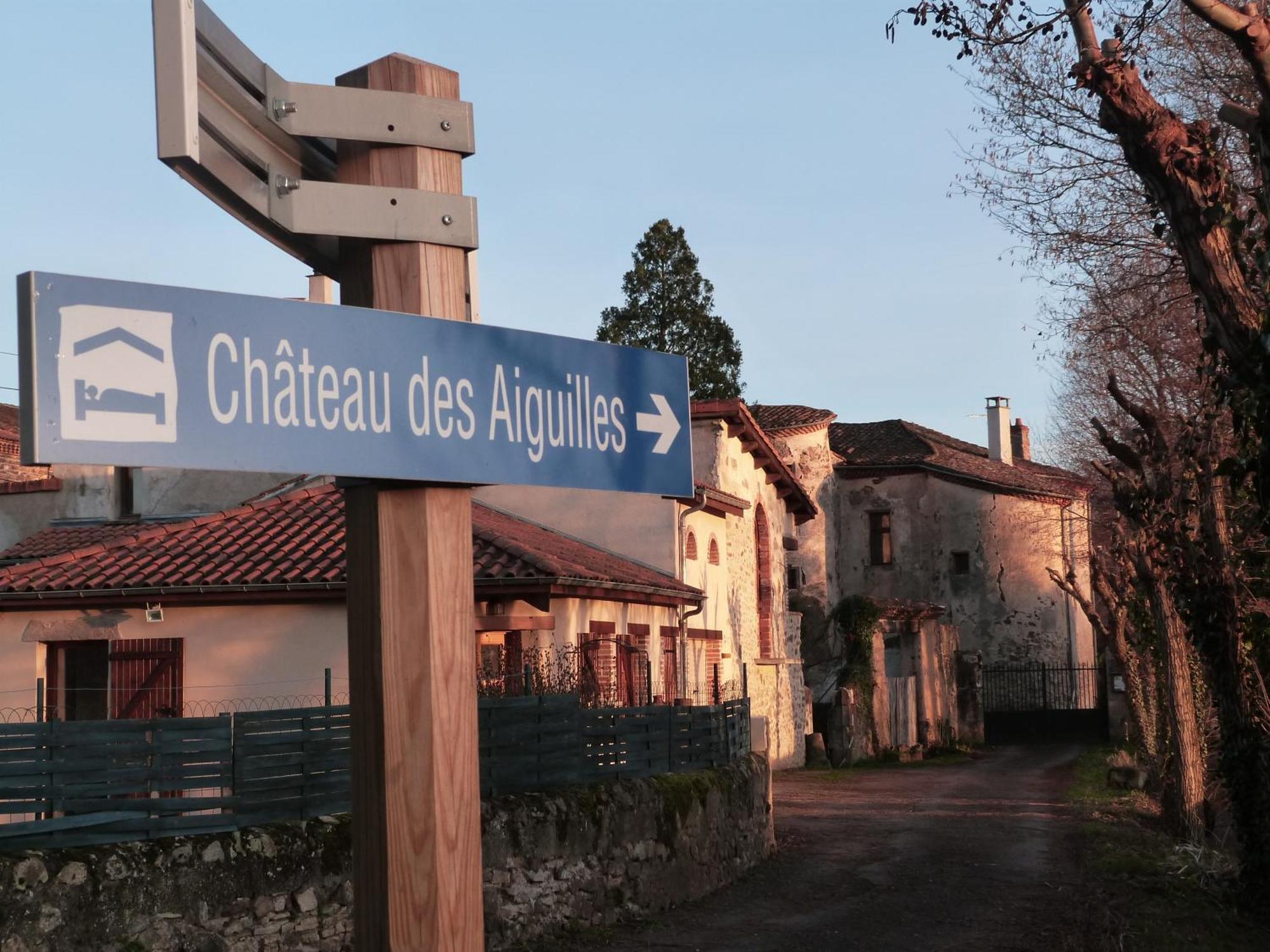 Chateau Des Aiguilles Saint-Rémy-de-Chargnat Esterno foto