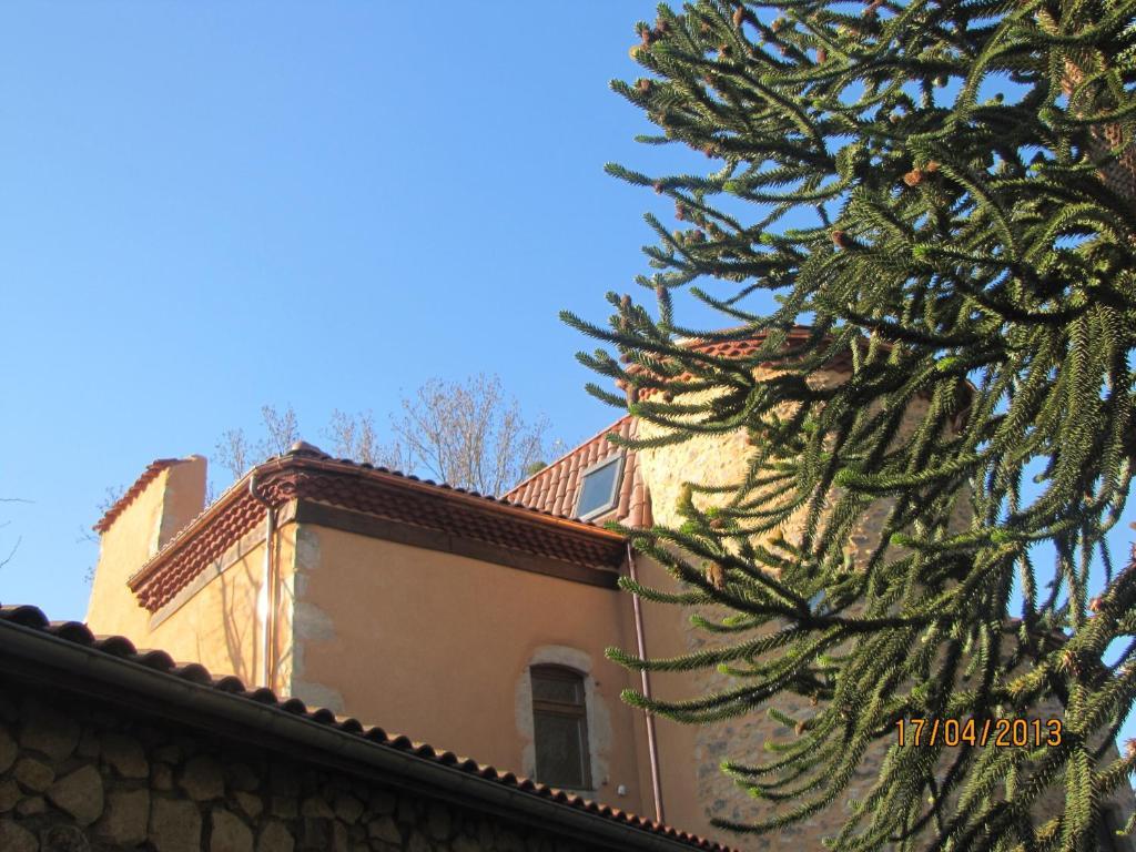 Chateau Des Aiguilles Saint-Rémy-de-Chargnat Esterno foto